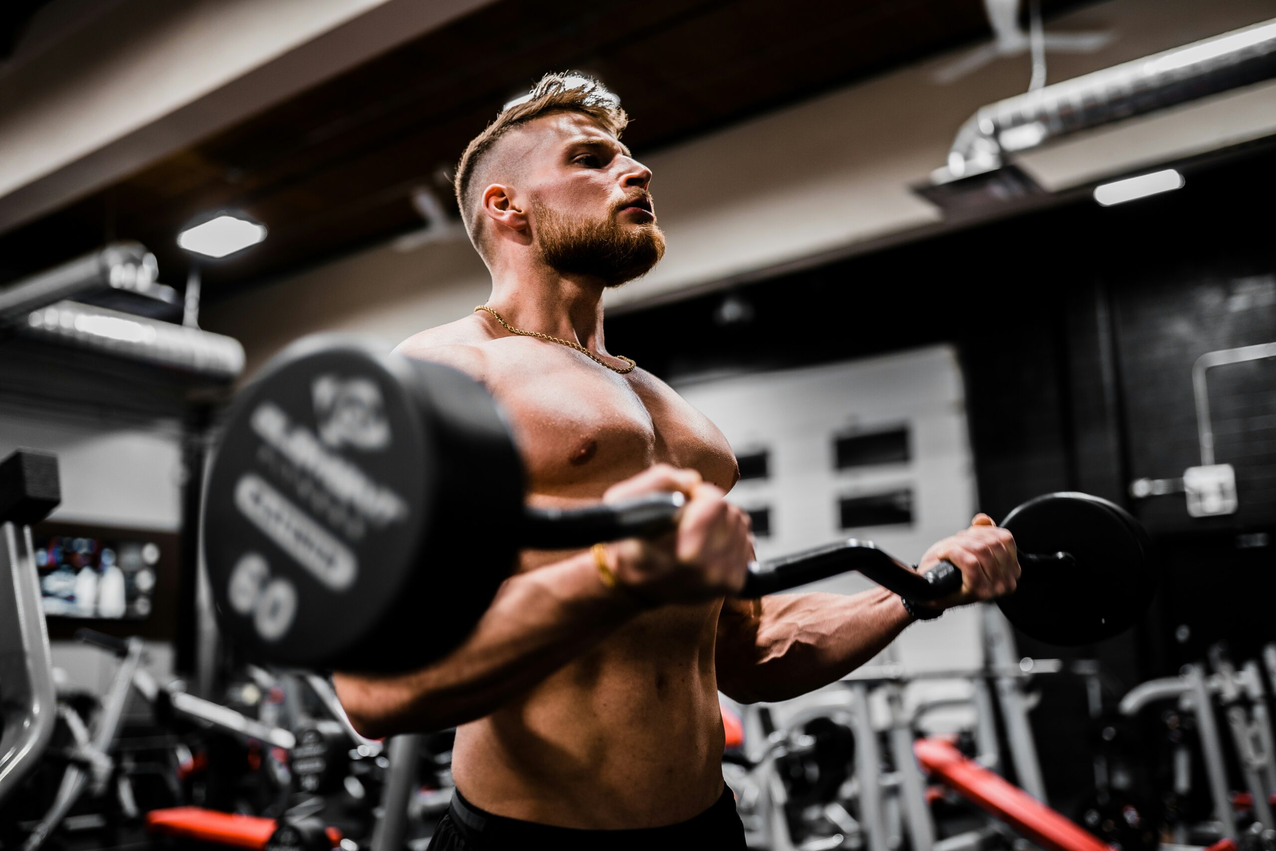 Gym Fitness Routine